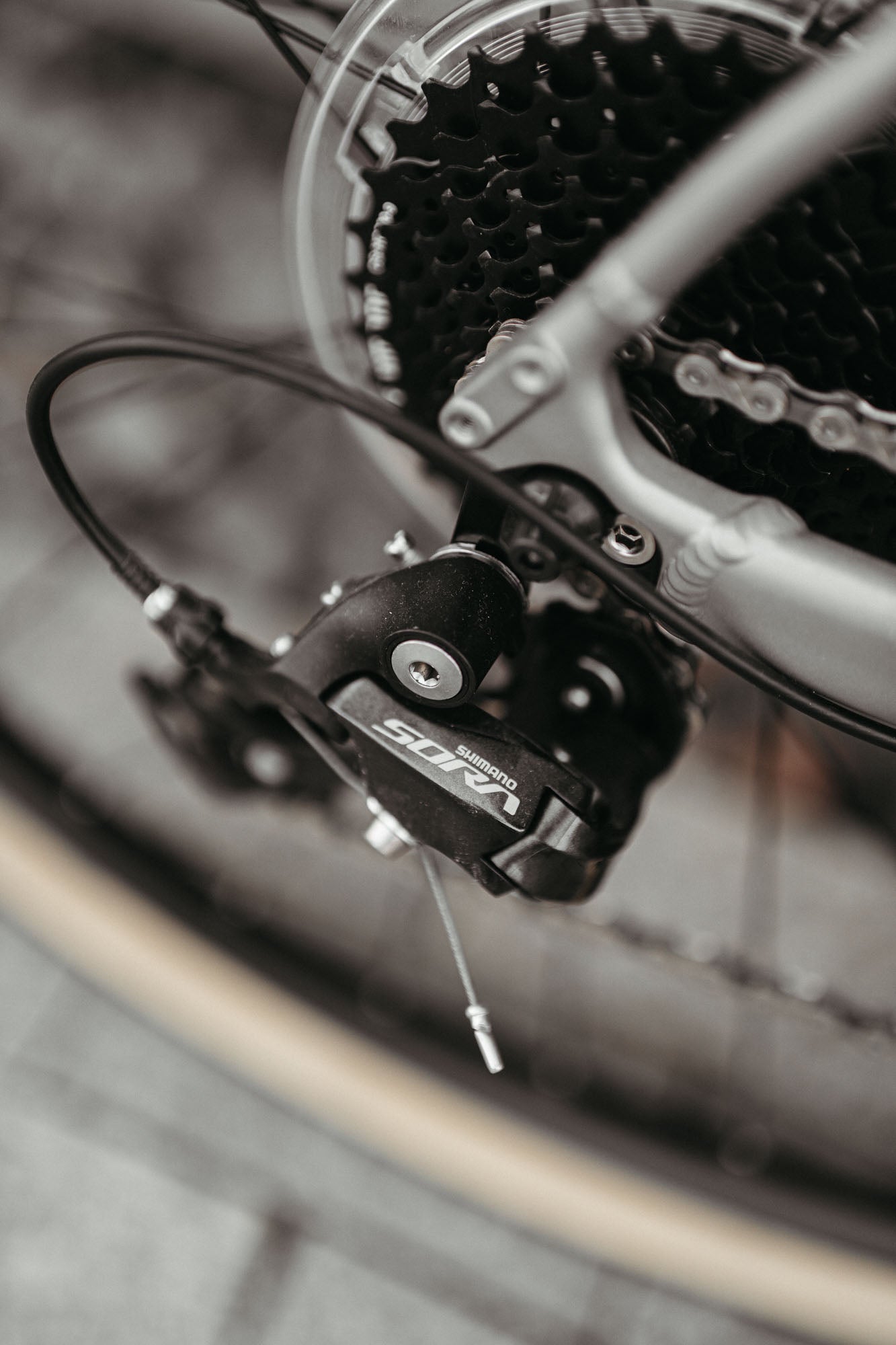 Marin Lombard 1 / Silver