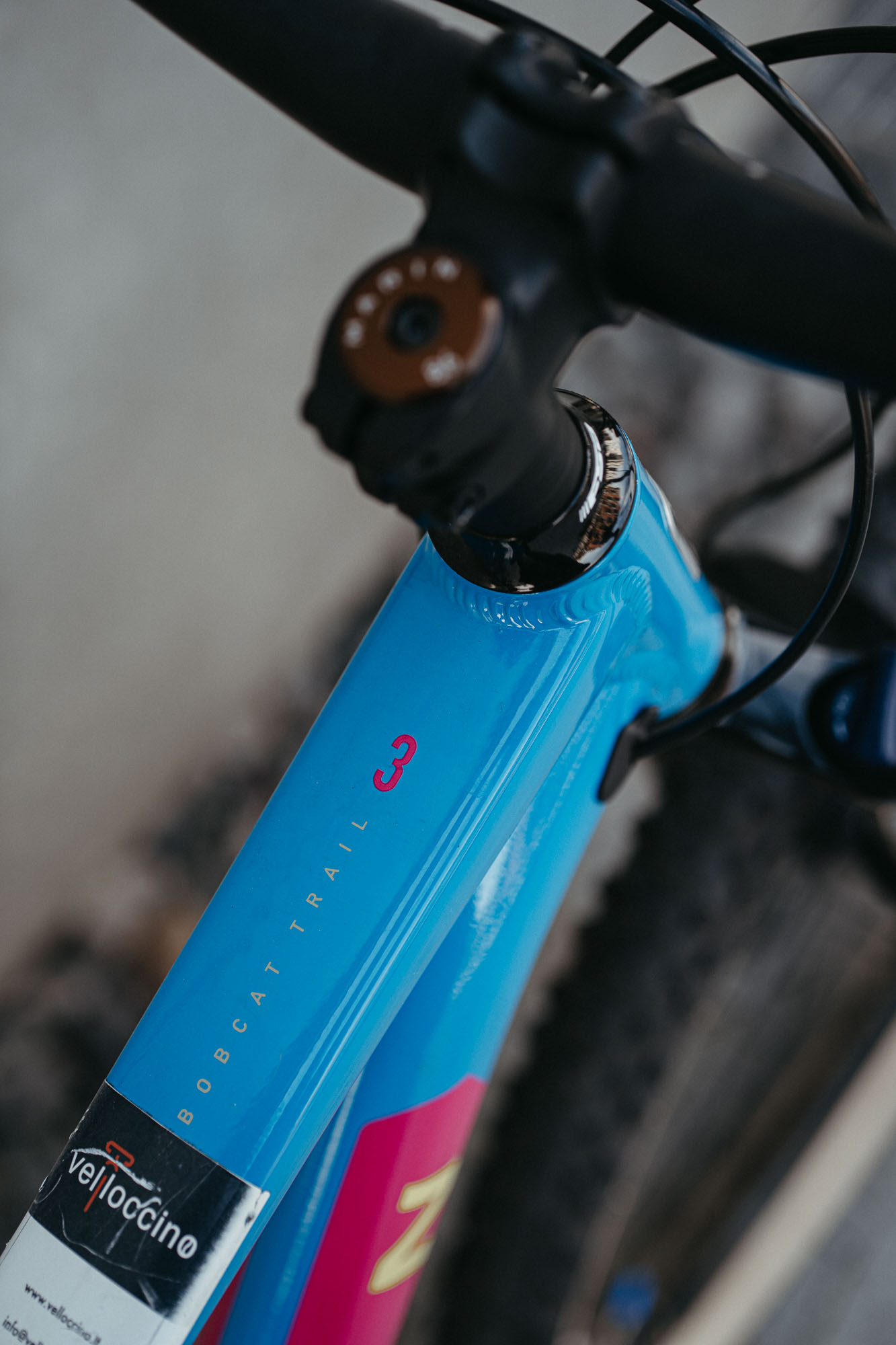 Marin Bobcat Trail 3 / Blue