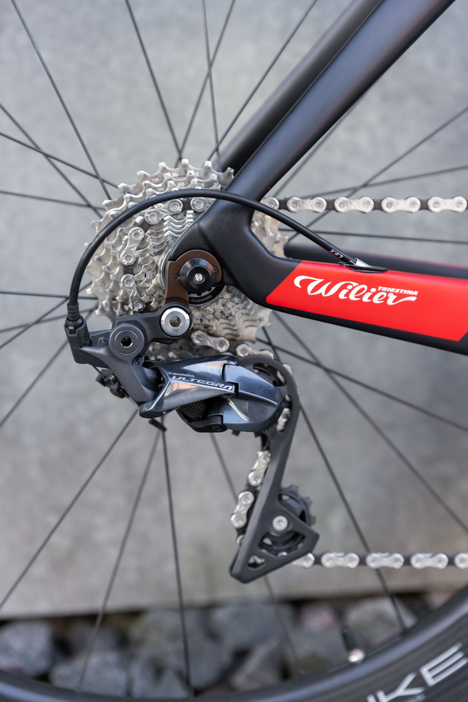 Wilier Time Trial / Black Red