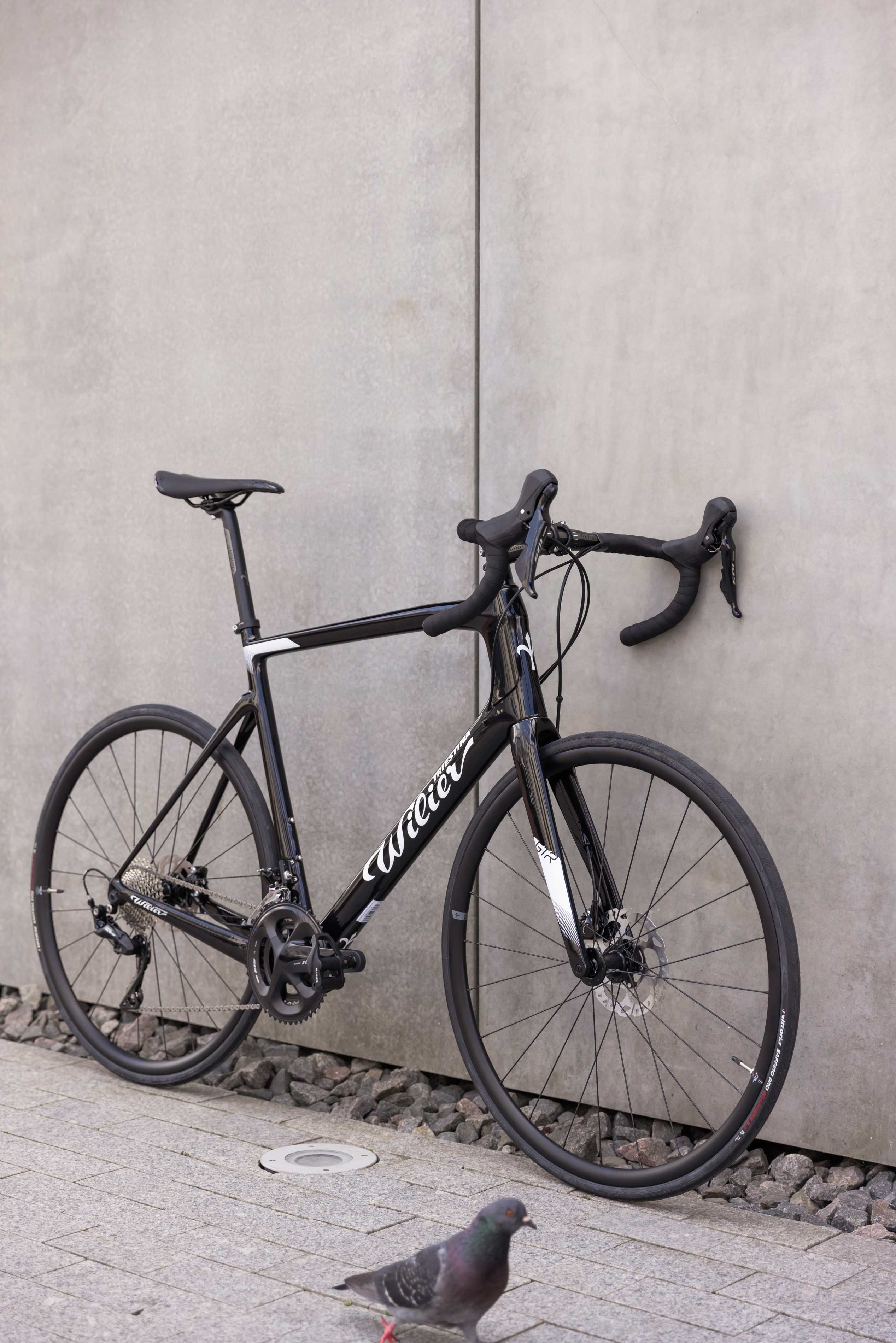 Wilier GTR Team / Black White