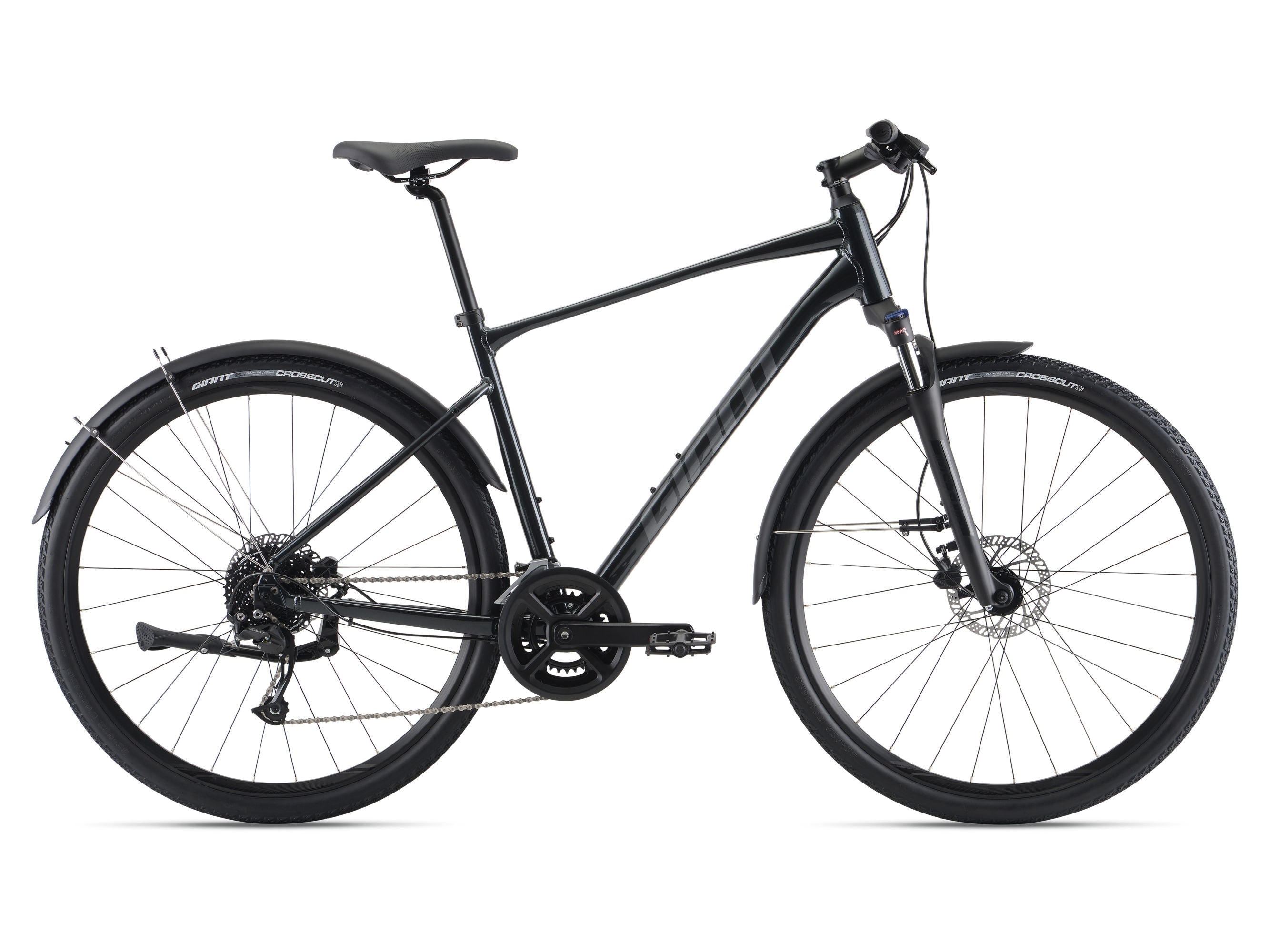 Dviratis Giant Roam EX / Charcoal