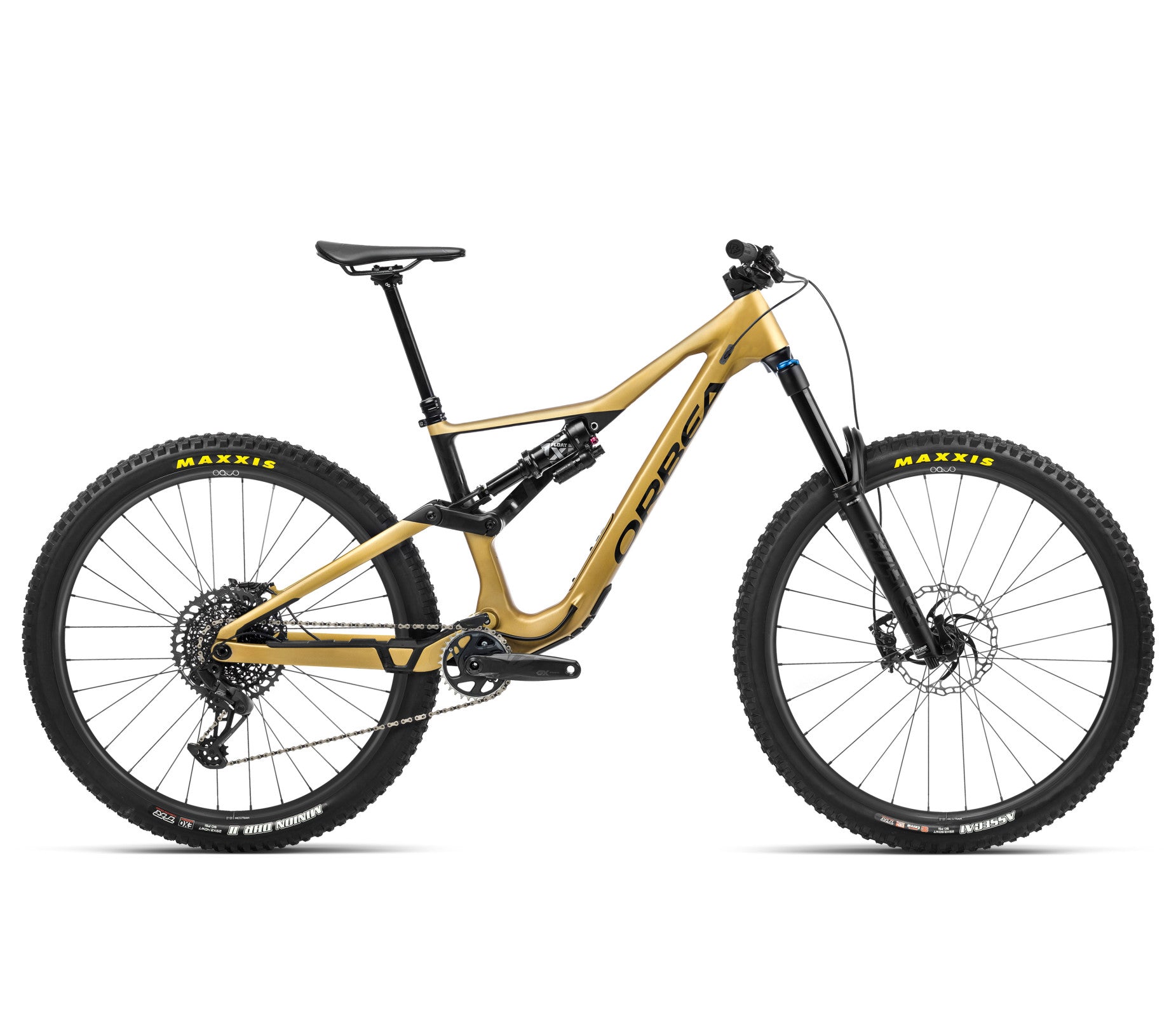 Dviratis Orbea RALLON M10 / Golden Sand- Black (Matt)